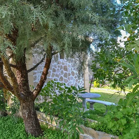 Evi's * Valszamáta